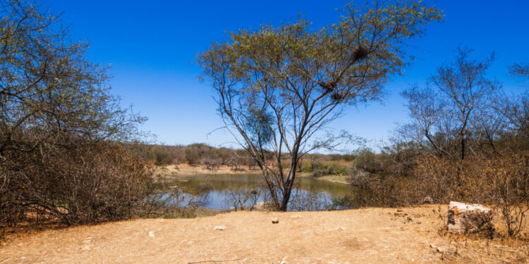 Secretaria de Meio Ambiente emite alerta de baixa umidade para três municípios do alto sertão sergipano 