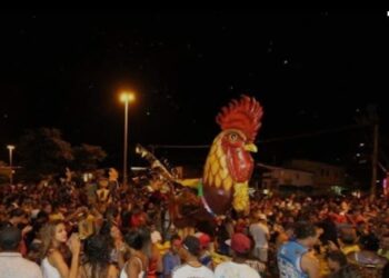 Galo do Augusto Franco: 15 anos de tradição e alegria para toda família