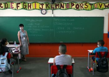 Ampliado prazo para ajuste na formação de professores do ensino básico