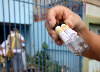 Ministério da Saúde, estados e municípios unem esforços para ações de enfrentamento da dengue