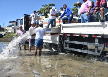 Codevasf realiza primeiro peixamento do ano em Neópolis (SE)