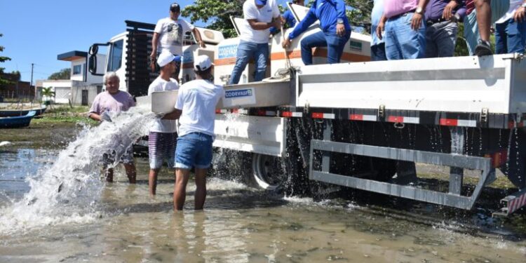 Codevasf realiza primeiro peixamento do ano em Neópolis (SE)