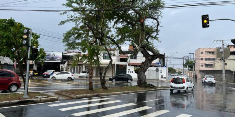Novo semáforo da avenida Cezartina Régis entra em modo intermitente para adaptação dos condutores