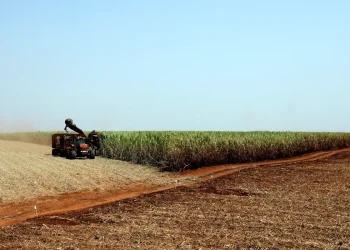 Projeção da safra de grãos 2023/24 recua para 306,4 milhões de toneladas