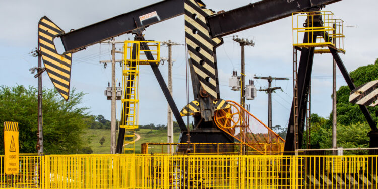 Sergipe registra superávit recorde de 97,6 milhões de dólares na balança comercial de 2023