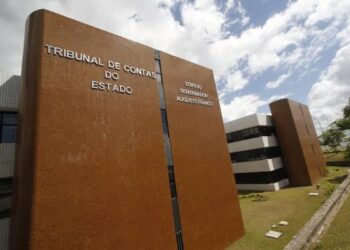 TCE aguarda resposta de 22 prefeituras sobre dados da primeira infância