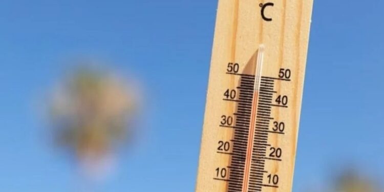 Mudanças climáticas podem causar 14,5 milhões de mortes até 2050