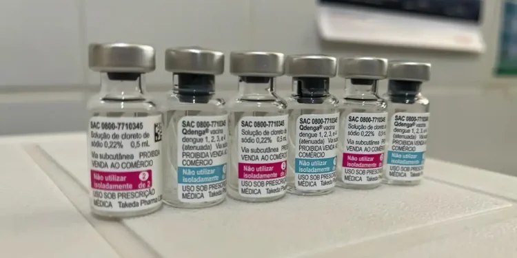 SUS: vacinação contra a dengue começa em fevereiro, em 521 municípios