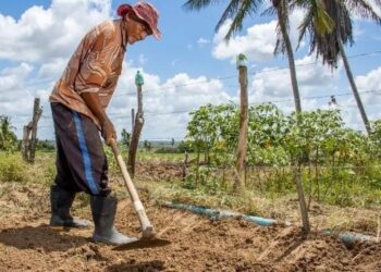 Prazo para inscrições no Garantia-Safra é prorrogado