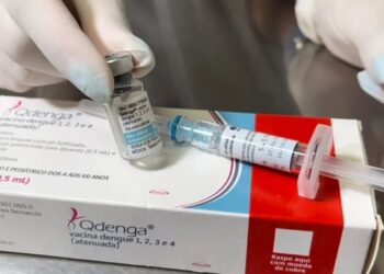 “Vacina contra dengue é aposta de médio e longo prazo, não resposta de momento”, diz ministra da Saúde