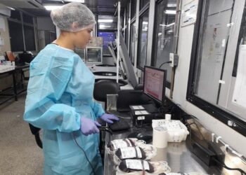 Uma doação de sangue gera quatro bolsas de componentes sanguíneos  