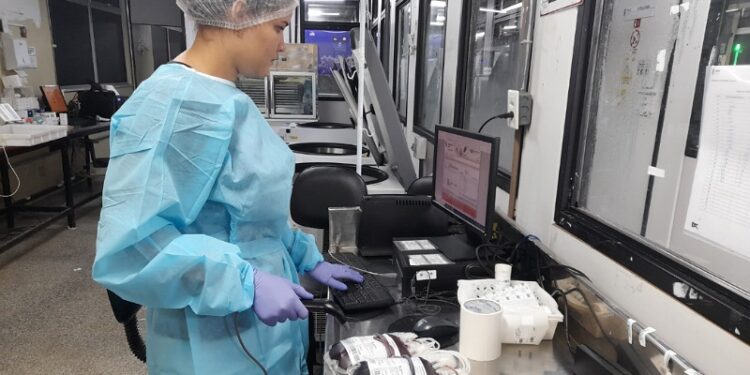 Uma doação de sangue gera quatro bolsas de componentes sanguíneos