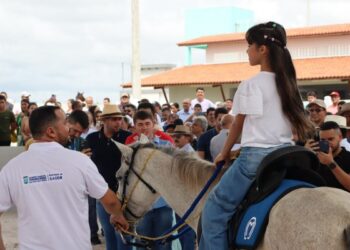 Acolhimento e cuidado: Centro Municipal de Equoterapia é inaugurado em Itabaiana