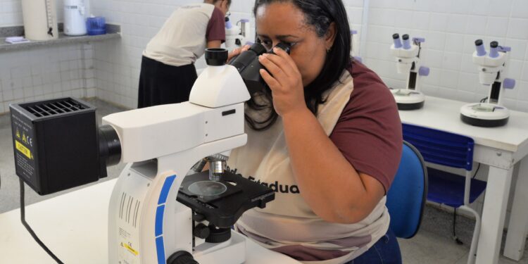 Escolas da rede pública estadual ofertam educação profissionalizante
