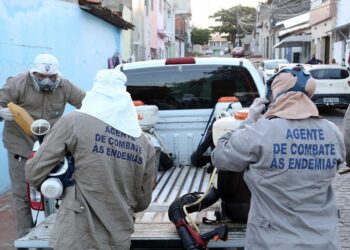 Aedes aegypti: PMA inicia bloqueio de transmissão no perímetro do Projeto Verão
