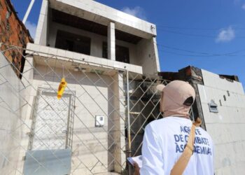 Aedes aegypti: Prefeitura de Aracaju combate o mosquito também em imóveis fechados ou abandonados