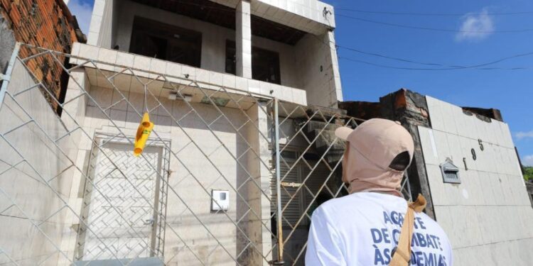 Aedes aegypti: Prefeitura de Aracaju combate o mosquito também em imóveis fechados ou abandonados