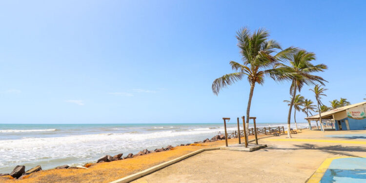 Sergipe terá o Carnaval de tranquilidade e de alegria em 2024