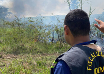 Adema fiscaliza queima irregular de cana em Rosário do Catete, desrespeito ao horário e distância mínima