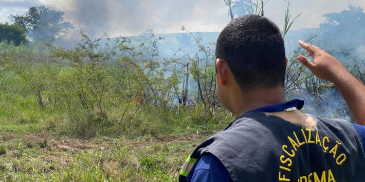 Adema fiscaliza queima irregular de cana em Rosário do Catete, desrespeito ao horário e distância mínima