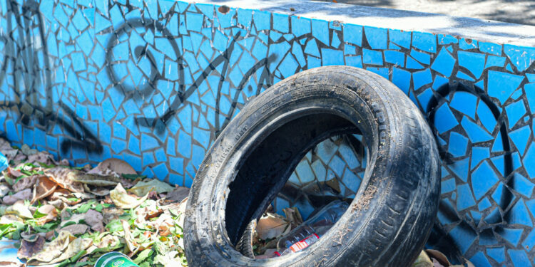 Estado orienta municípios sergipanos na promoção de ações para prevenção e controle do Aedes aegypti