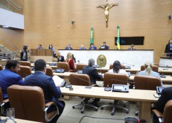 Alese aprova Projeto de Lei Complementar da Defensoria Pública