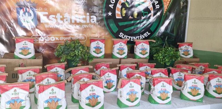 Iniciativa municipal: distribuição de sementes de milho para agricultores de Estância