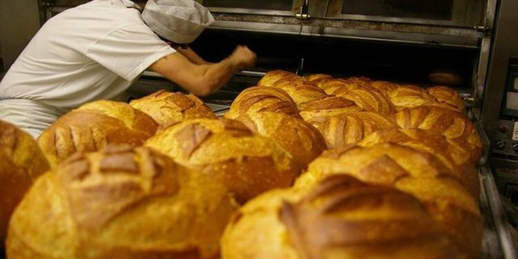 FNE terá crescimento de 5% em investimentos em Sergipe em 2024