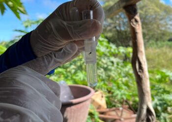 Saúde de Sergipe mobiliza municípios contra a dengue neste sábado, 2