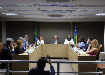 Secretária Sarah Andreozzi expõe estabilidade fiscal das contas públicas