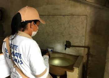 Saiba como combater o Aedes aegypti dentro da residência