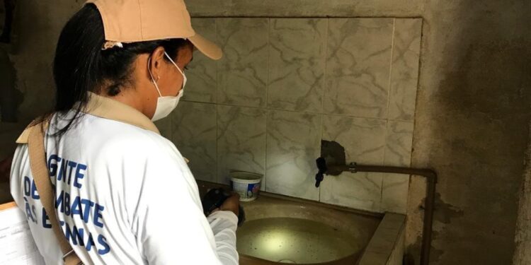 Saiba como combater o Aedes aegypti dentro da residência