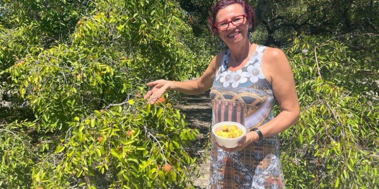 Professora Sônia Meire Participa da 3ª Festa da Colheita