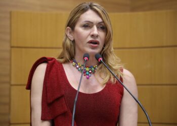 Dados sobre a Segurança Pública preocupam a deputada Linda Brasil