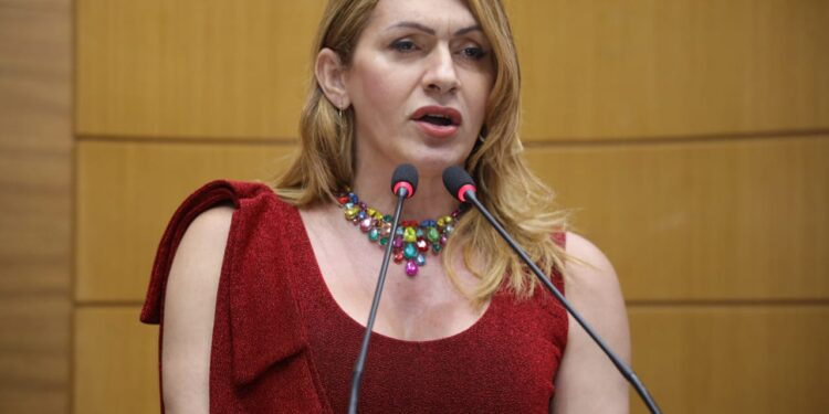 Dados sobre a Segurança Pública preocupam a deputada Linda Brasil