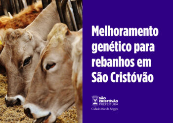 Parceria da Prefeitura com a Conafer promove oportunidade de melhoramento genético para rebanhos de São Cristóvão