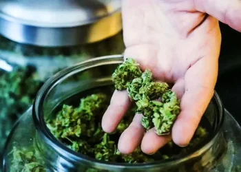 Após pedido de vista de Dias Toffoli, STF suspende julgamento sobre descriminalização da maconha para consumo