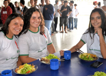 Inserção do camarão e a regionalização das proteínas diversificam a alimentação escolar