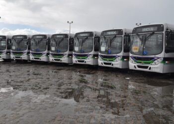 Licitação do transporte: Consórcio Metropolitano inicia diálogo com empresas