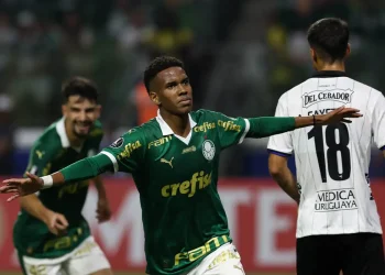 Palmeiras vence em casa para assumir do Grupo F da Libertadores