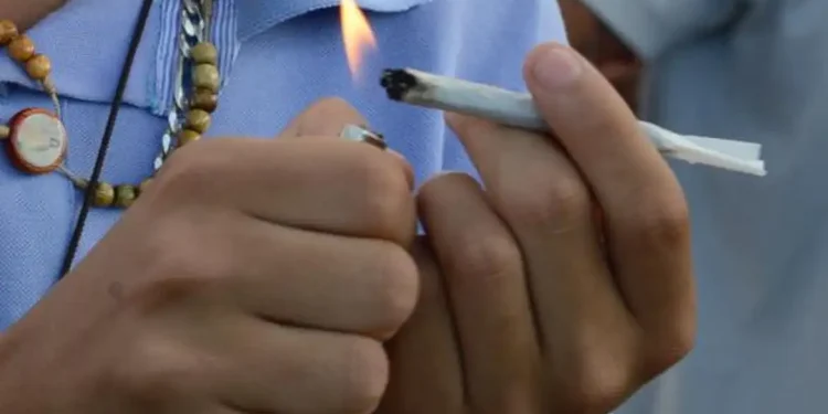 PEC das Drogas é inconstitucional e deve agravar cenário de violência