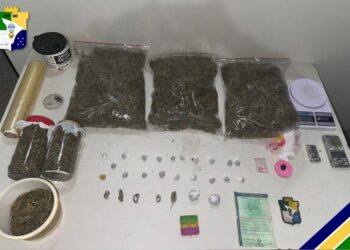 Polícia Militar apreende drogas e prende casal por tráfico na Zona Sul de Aracaju