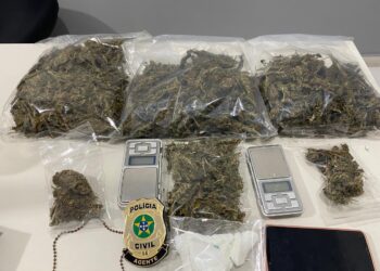 Polícia Civil prende suspeita de tráfico de drogas em Tobias Barreto