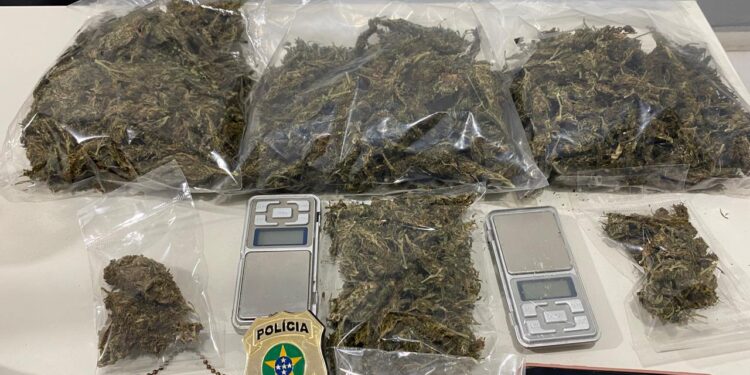 Polícia Civil prende suspeita de tráfico de drogas em Tobias Barreto