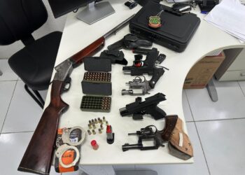 Operação conjunta apreende cinco armas e quase 80 munições em Amparo de São Francisco