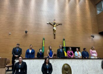 Luciano Pimentel promove sessão especial sobre leis de proteção aos autistas e cannabis medicinal no tratamento do TEA