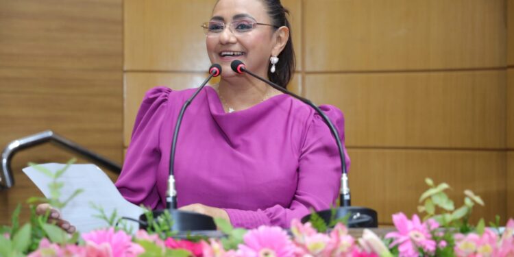 Parecer jurídico de ex-ministro diz que Carminha tem condições de disputar em Socorro