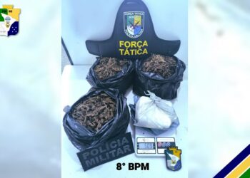 PM apreende 2kg de droga em Nossa Senhora do Socorro