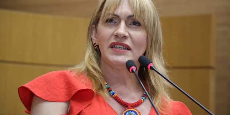 Linda Brasil fala sobre reunião que discutirá a licitação do transporte público municipal