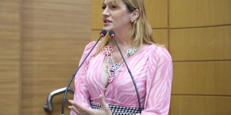 Linda Brasil cobra ações para evitar enchentes e alagamentos em Aracaju